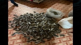 drugs ganja sold in grocery general store in malegaon Nashik police raid