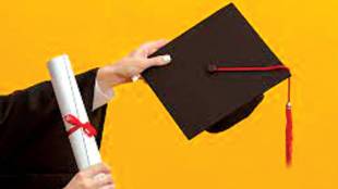 dual degree programs