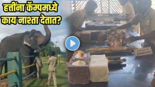 elephant-camp-breakfast-making-video