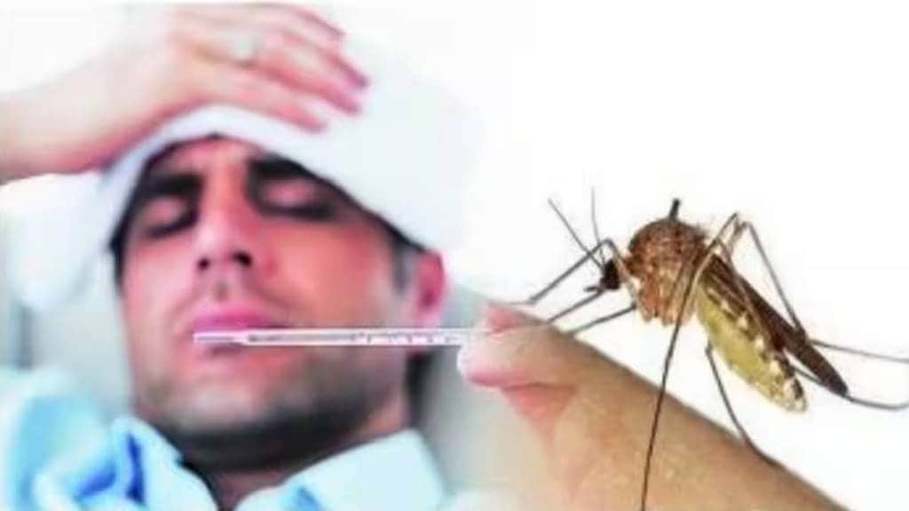 Gadchiroli administration takes various measures to eradicate heat wave