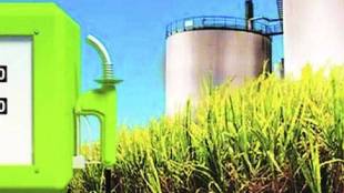 Ethanol policy impact
