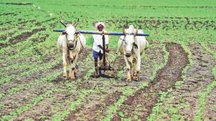 study tours for farmers Maharashtra