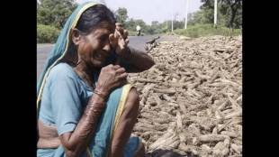 Farmers devastated by heavy rains; Strong criticism of the government over aid