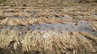 Maharashtra govt approves 2540 crore flood relief fund Mumbai print news