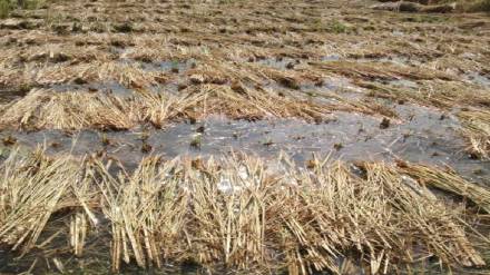 Maharashtra govt approves 2540 crore flood relief fund Mumbai print news