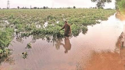 farmer financial aid Maharashtra