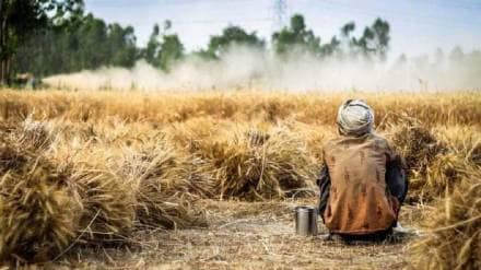 farmer suicide farmer suicide