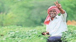 अतिवृष्टीने हतबल शेतकऱ्यांसाठी ‘शिवार’चा आधार