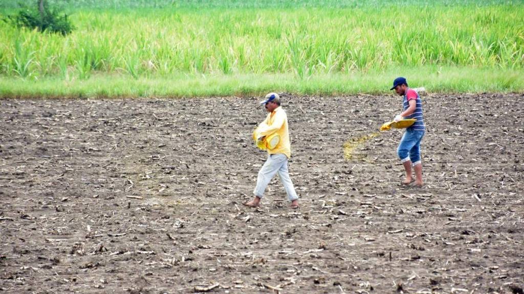 innovative farming techniques
