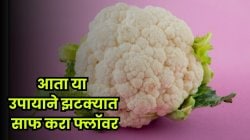 फ्लॉवरमध्ये आता एकही कीडा दिसणार नाही! या ७ सोप्या उपायाने झटपट करा साफ…
