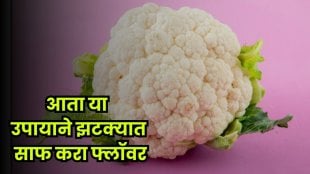 No more fear of worms! Clean your cauliflower easily at home