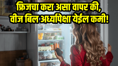 फ्रिजचा असा वापर की, वीज बिल अर्ध्यापेक्षा येईल कमी! फक्त ‘हा’ उपाय एकदा करून बघाच…