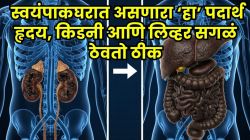 किडनी अन् लिव्हर खराब होणार नाही! फक्त स्वयंपाकघरात असणारा ‘हा’ एक पदार्थ खा, हृदयाच्या बंद झालेल्या नसा होऊ शकतात मोकळ्या