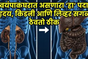 garlic for heart blockage