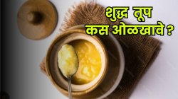 शुद्ध आणि भेसळयुक्त तुपातील फरक कसा ओळखायचा? घरच्या घरी करा ‘या’ ३ गोष्टी! लगेच कळेल तूप शुद्ध आहे की नाही…