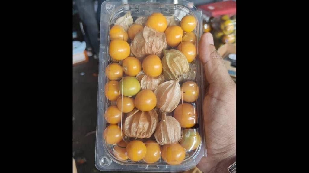 Arrival of sweet and sour gooseberries from Mahabaleshwar in Pune Market