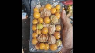 Arrival of sweet and sour gooseberries from Mahabaleshwar in Pune Market
