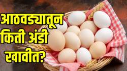 डायबिटीज, हृदयरोग असणाऱ्यांनी अंडी किती आणि कशी खावीत? शरीराला कसा होतो फायदा? जाणून घ्या
