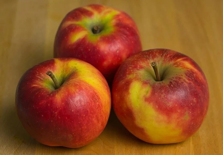 Identify Real vs Artificial Apples