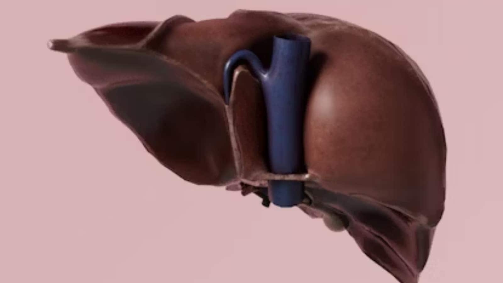 health, liver