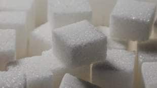 Sugar