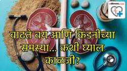 वाढत्या वयानुसार किडनीची काळजी कशी घ्याल? मधुमेह, ब्लड प्रेशर असल्यास होऊ शकते गंभीर नुकसान