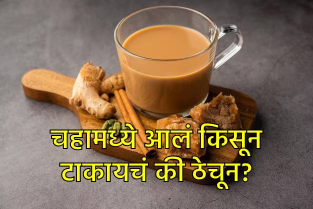 चहामध्ये आलं किसून टाकायचं की ठेचून? चहामध्ये आलं किसून टाकायचं की ठेचून?