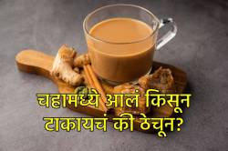 चहामध्ये आलं किसून टाकावं की ठेचून? परफेक्ट चवीचा आल्याचा कडक चहा करण्याची पद्धत…