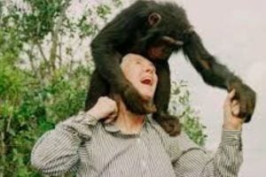 loksatta edirorial jane goodall legacy tribute environmentalist chimpanzee researcher contribution animal rights