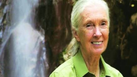 Veteran wildlife researcher Dr Jane Goodall passes away