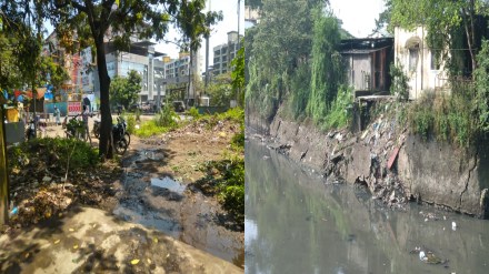 kalyan kdmc dog center scam exposes health officials