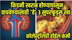 किडनी खराब होणार नाही! कोलेस्ट्रॉलही होईल कमी; फक्त डॉक्टरांनी सांगितले ‘हे’ ३ सुपरफूड्स खा