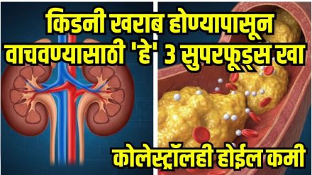 kidney health superfoods kidney health superfoods