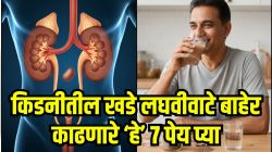 लघवीवाटे किडनीतून खडे बाहेर काढू शकतात ‘ही’ ७ पेय; किडनी स्टोन वितळून पडेल बाहेर, मिळू शकतो झटक्यात आराम!
