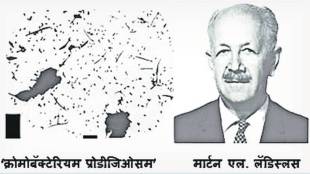 electron photomicrographs