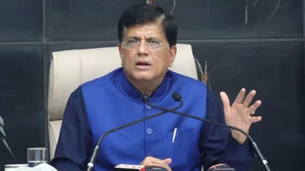 केंद्रीय मंत्री पीयूष गोयल यांनी अमेरिकेबरोबरच्या व्यापारी चर्चेबाबत महत्त्वाचे विधान केले आहे. (Image Source: PTI)
