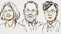 Nobel Prize 2025: यंदाचे वैद्यकशास्त्रातील नोबेल जाहीर! मेरी ब्रुन्कोव, फ्रेड रॅम्सडेल आणि शिमोन साकागुची यांना मिळाला सन्मान