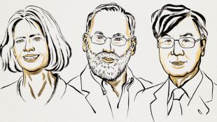 Nobel Prize 2025 for Medicine award to Mary Brunkow Fred Ramsdell Shimon Sakaguchi marathi news