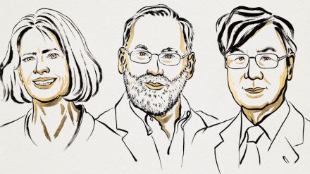 Nobel Prize 2025 for Medicine award to Mary Brunkow Fred Ramsdell Shimon Sakaguchi marathi news