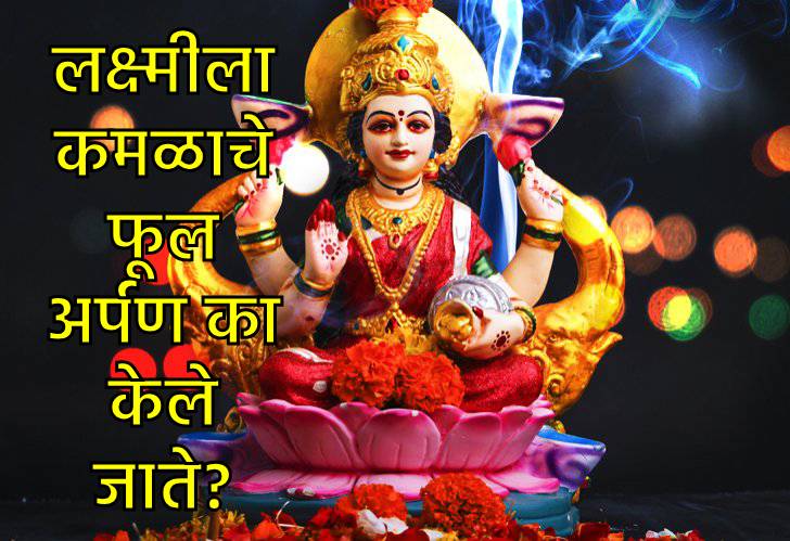 Diwali 2025: लक्ष्मीला कमळ अर्पण करण्याचे ३ फायदे, काय आहेत कमळ आणि लक्ष्मीशी संबंधित कथा…