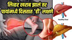 लिव्हर खराब झालं तर पायांमध्ये दिसतात ‘ही’ ७ लक्षणे! वेळीच लक्ष द्या, डॉक्टरांनी दिला सावधगिरीचा इशारा…