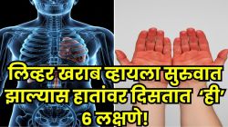 लिव्हर सडायला लागल्यास हातावर दिसतात ‘हे’ ६ संकेत; वेळीच ओळखा धोका, दुर्लक्ष केलं तर मोजावी लागेल मोठी किंमत…