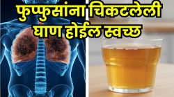फुप्फुसांना चिकटलेली घाण मिनिटांत होईल दूर; पाहा ‘ही’ ५ घरगुती पेयांची यादी, फुप्फुसं होतील स्वच्छ आणि तंदुरुस्त