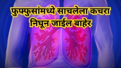 फुफ्फुसांमध्ये साचलेला कचरा निघून जाईल बाहेर, हे ५ नैसर्गिक उपाय वापरा, आरोग्याला मिळतील कित्येक फायदे