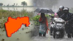 Rainfall Update: यंदा मराठवाड्यात सर्वाधिक ३९ टक्के, तर मध्य महाराष्ट्रात २० टक्के अधिक पावसाची नोंद