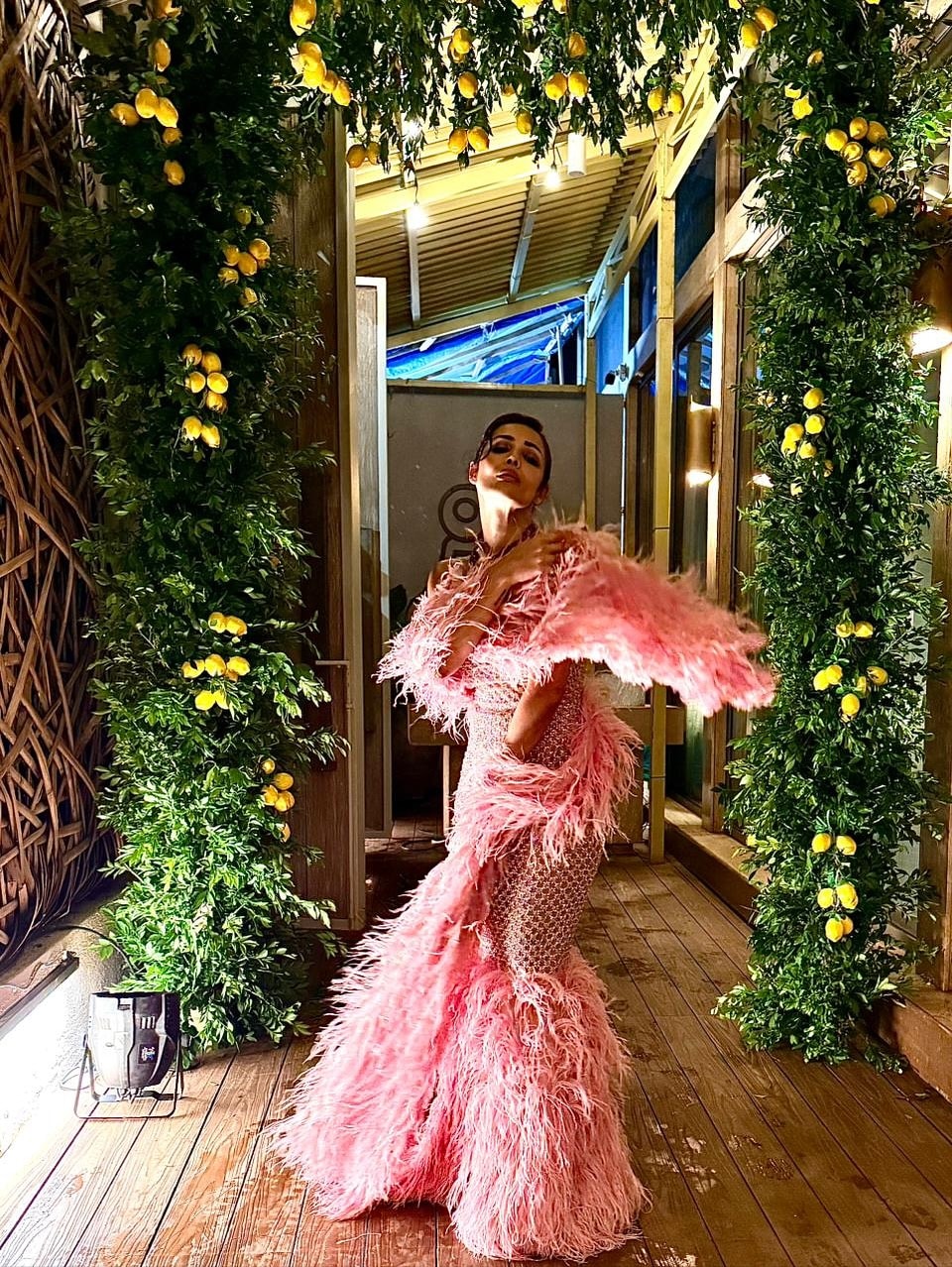 malaika arora birthday celebration photos