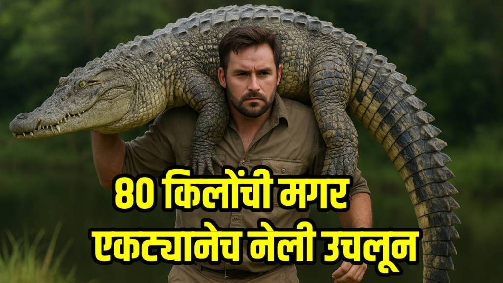 man carries 8 foot and 80 kilograms crocodile on shoulder
