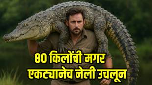 man carries 8 foot and 80 kilograms crocodile on shoulder