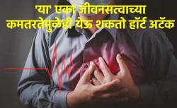 ‘या’ व्हिटॅमिनची कमतरता हार्ट अटॅक, रक्तदाब आणि स्ट्रोकला ठरू शकते कारणीभूत… वेळीच ओळखा धोका