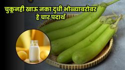 दुधीभोपळ्याची भाजी खाताय? मग थांबा, ‘या’ ४ गोष्टींसोबत खाल्ल्यास होऊ शकतो गंभीर त्रास…